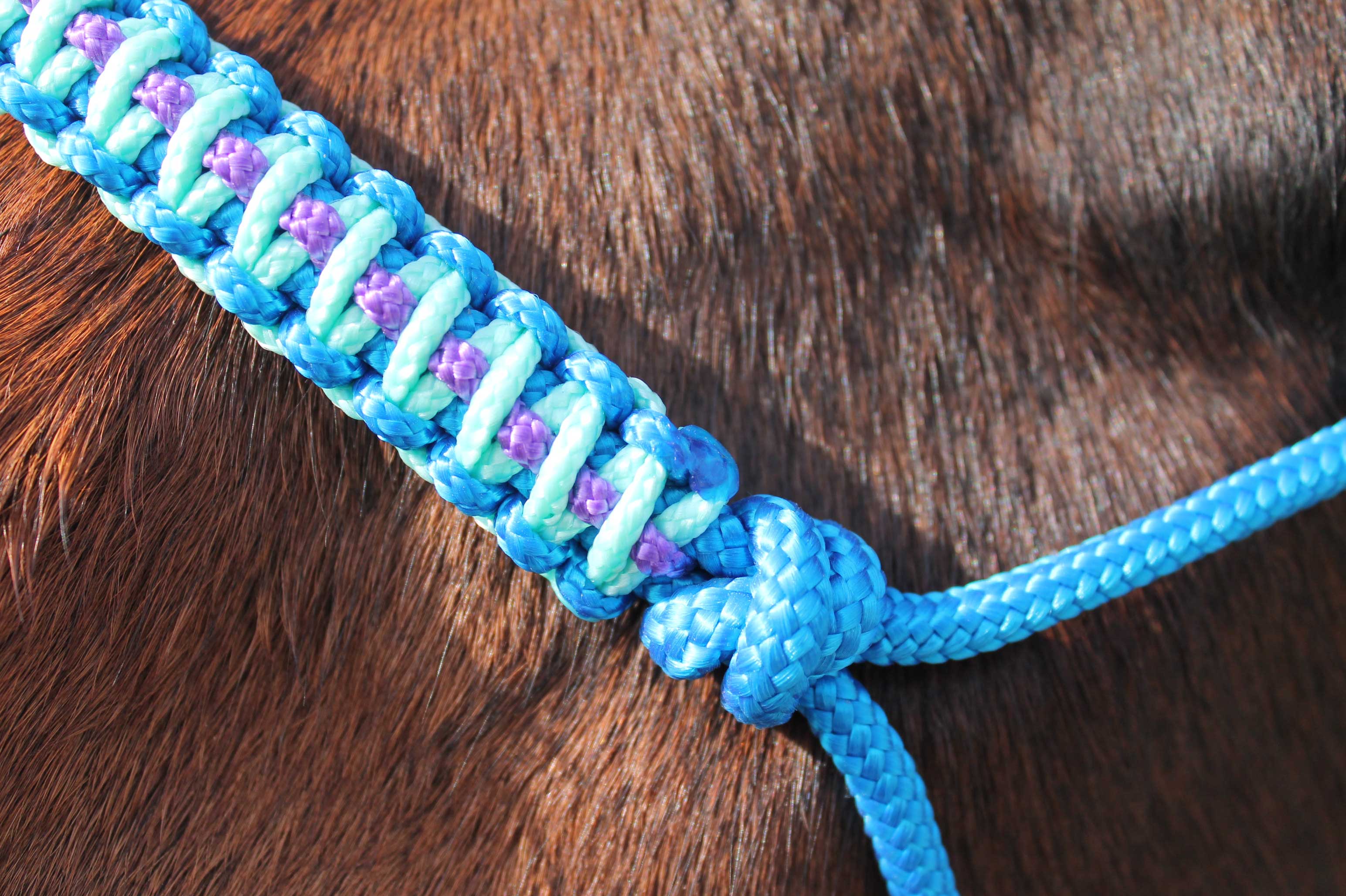 Equithème – Licol et longe tressé fuchsia/ bleu ciel/ marine