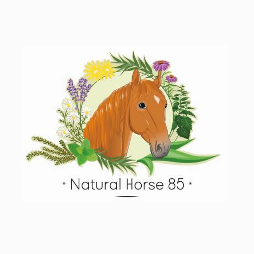 Breizh Etho - Natural Horse 85