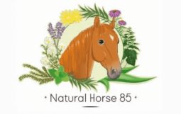 Breizh Etho - Natural Horse