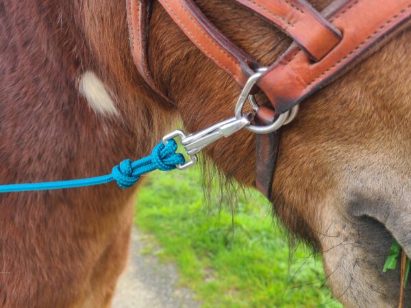 Longues renes en corde et sangle grip pour cheval et poney travail a pied bleu canard mousqueton en inox