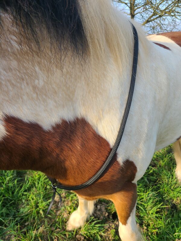 Cordelette en corde 12mm ou collier d'encolure