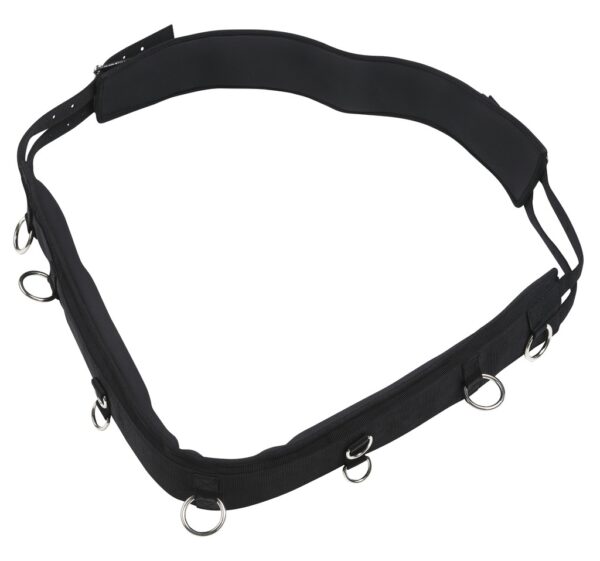 surfaix de travail du cheval de la marque norton noir avec anneaux en acier nickeler pour poney et cheval