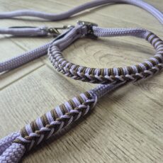 Collier pour chien réglable + laisse 1m50 lavande tressé marron et lavande