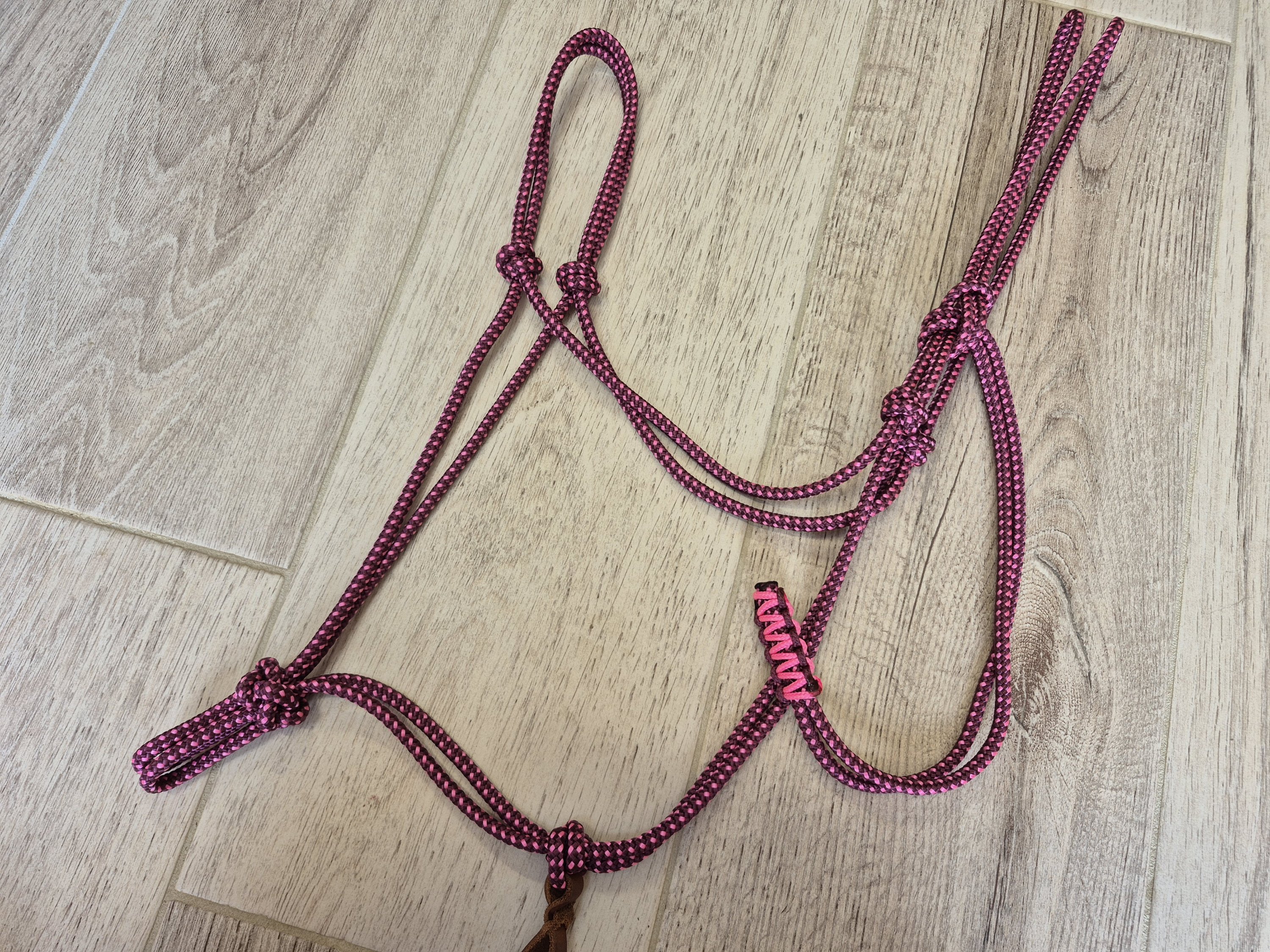 CHEVAL  - licol bordeaux et rose fluo