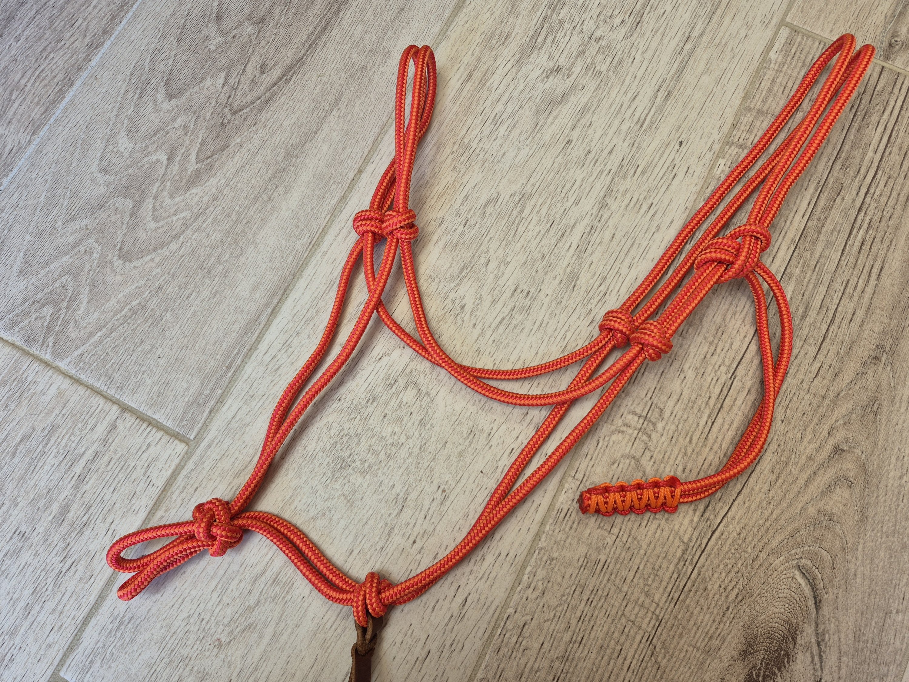 PONEY licol orange et rouge