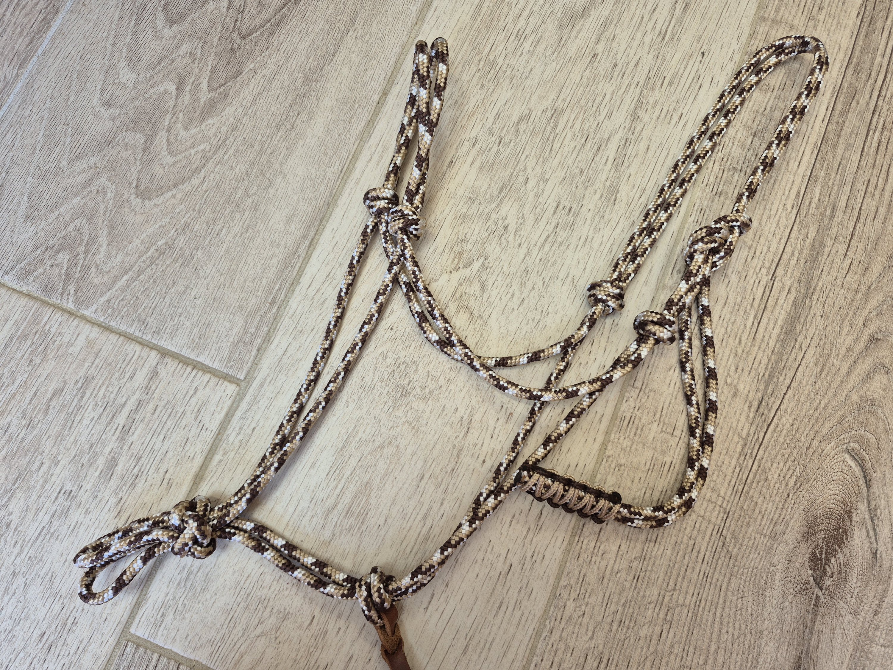 PONEY licol marron beige et blanc