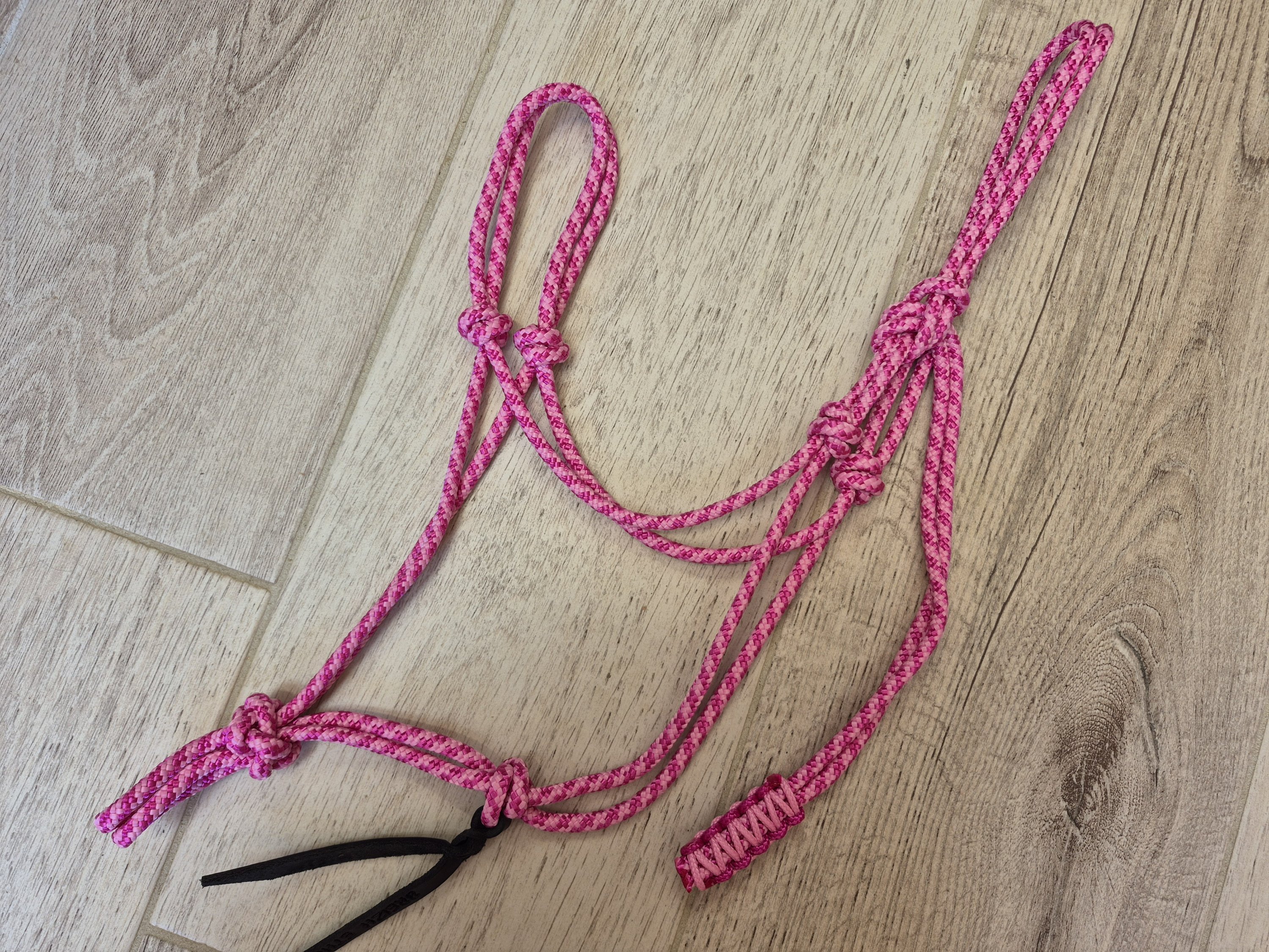 PONEY licol rose clair et fuchsia