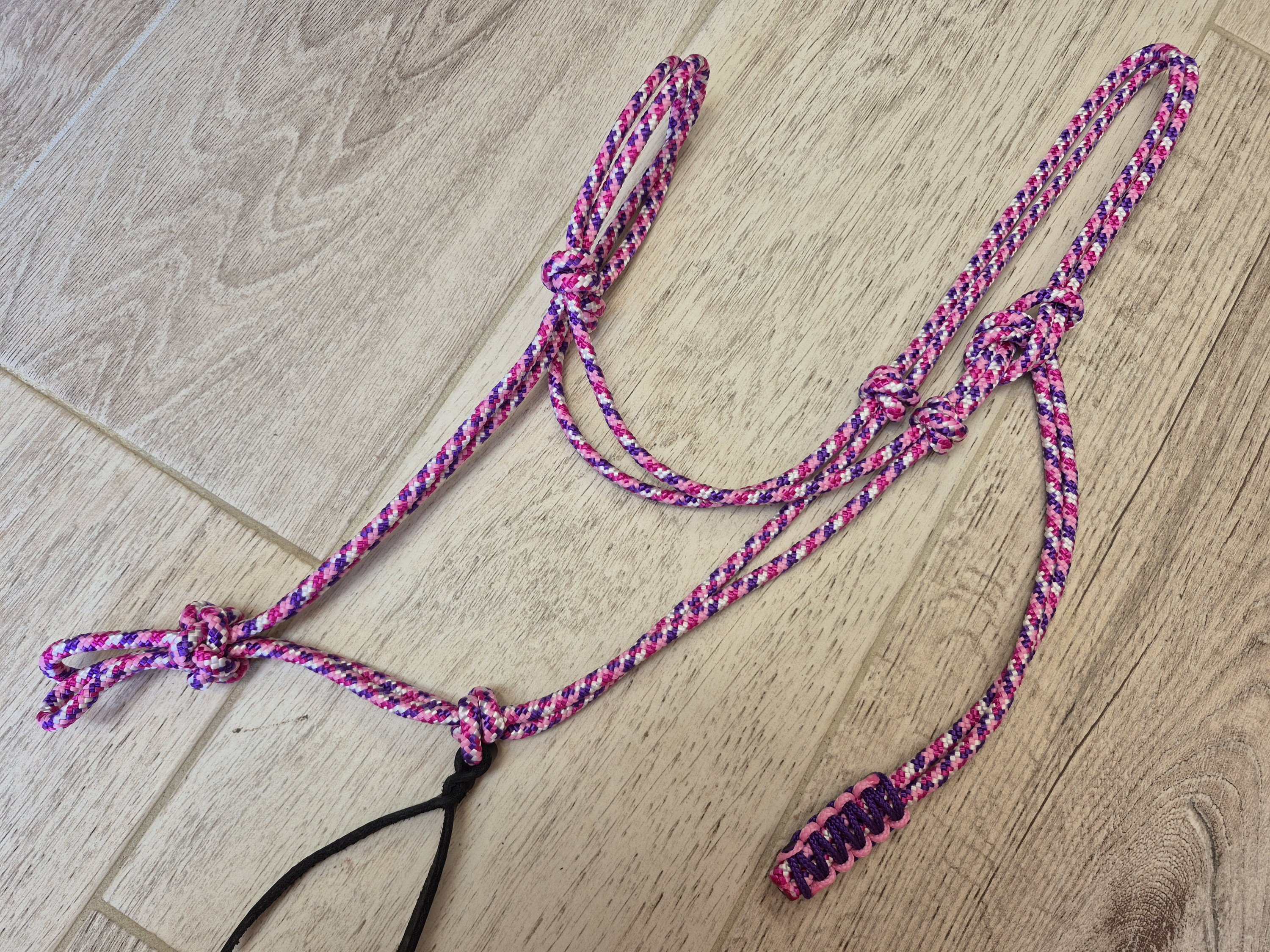 PONEY licol rose blanc et violet