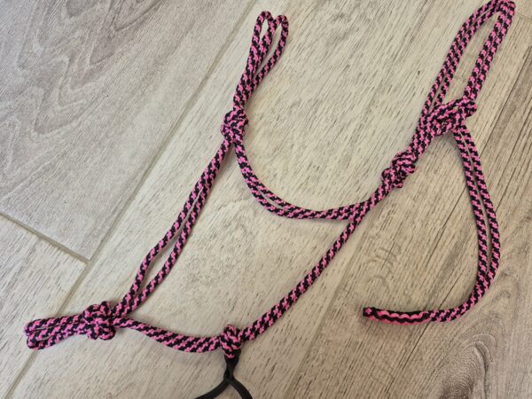 PONEY licol noir et fuchsia