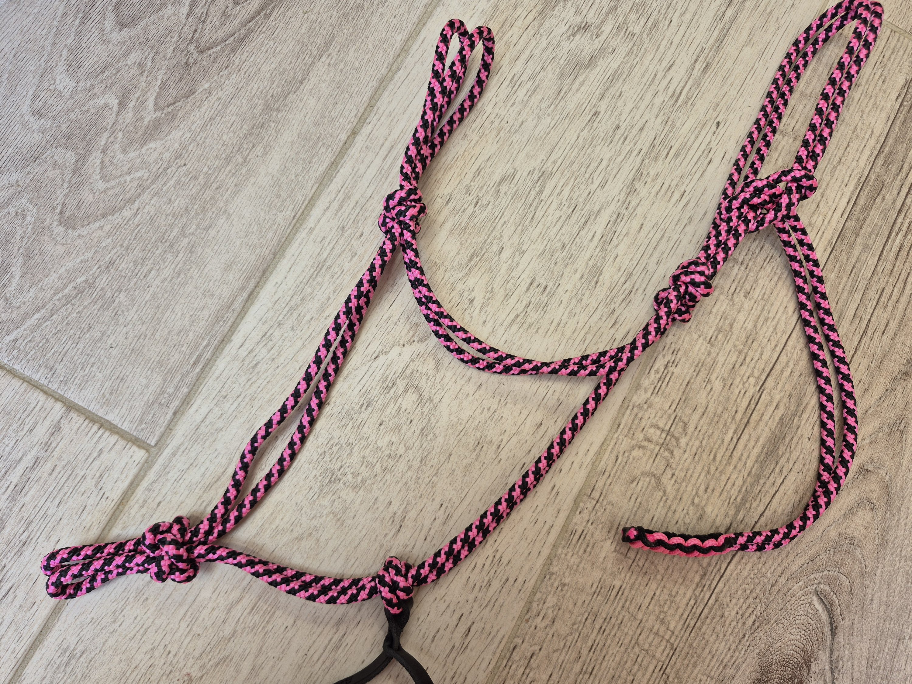 PONEY licol noir et fuchsia