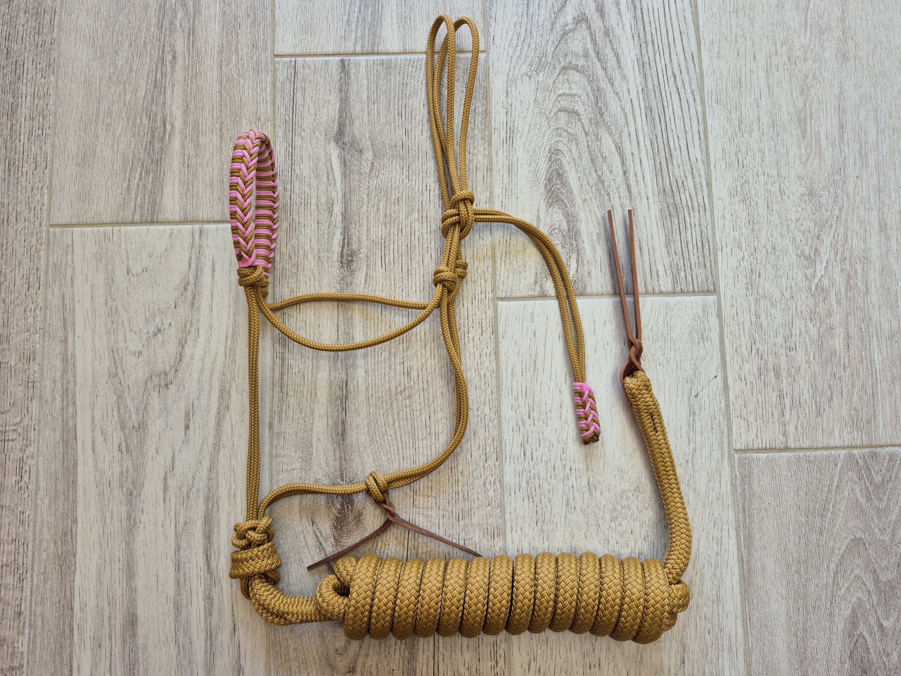 COB Licol caramel tressé saezh II caramel et rose clair + longe 3.70m