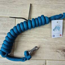 Rênes 2,50 mètres bleu canard