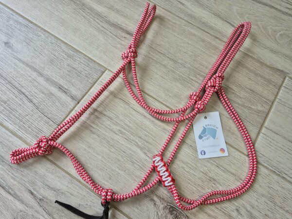 cheval licol rouge et blanc