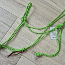 cheval licol vert pomme réfléchissant