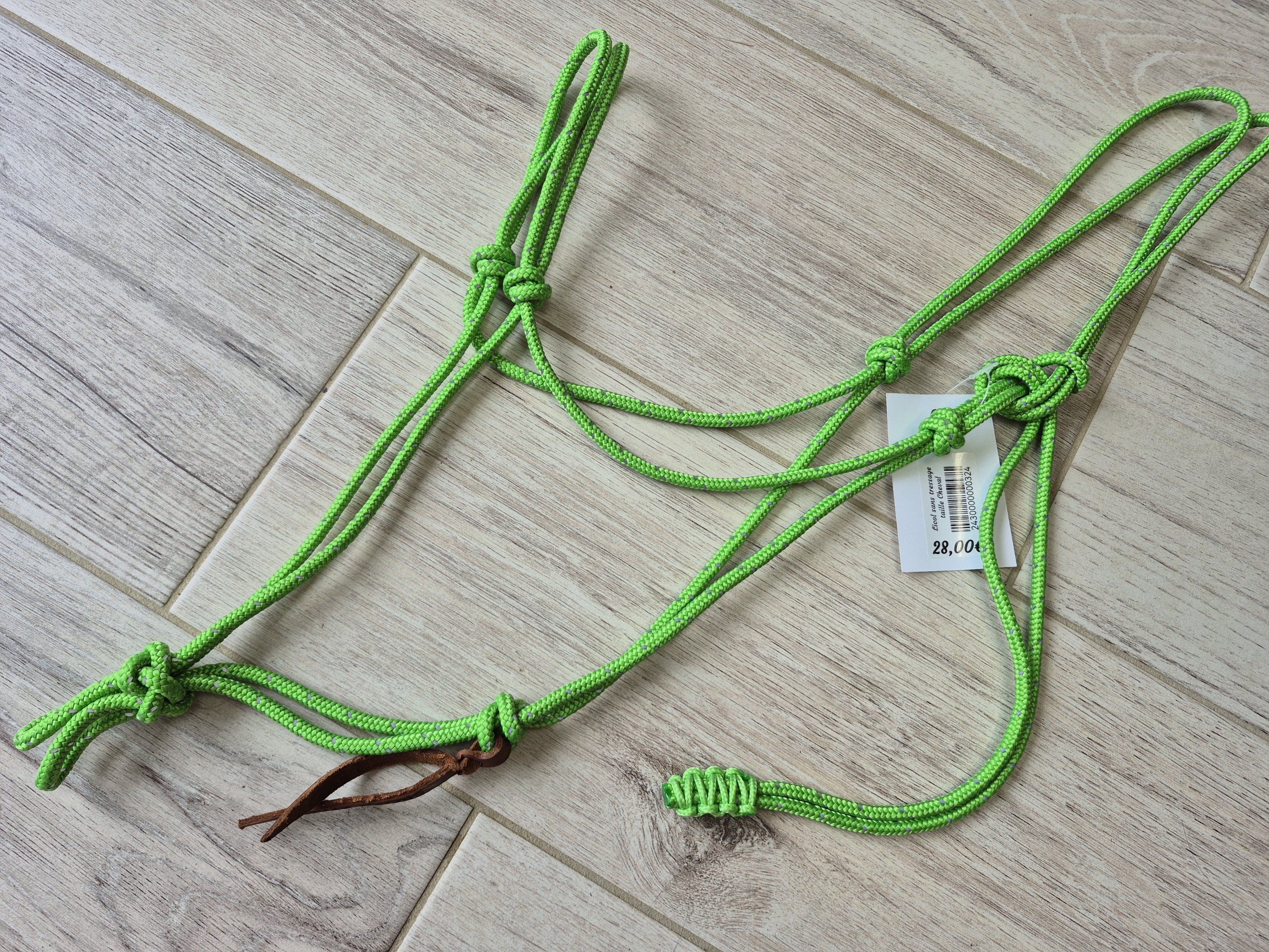 cheval licol vert pomme réfléchissant