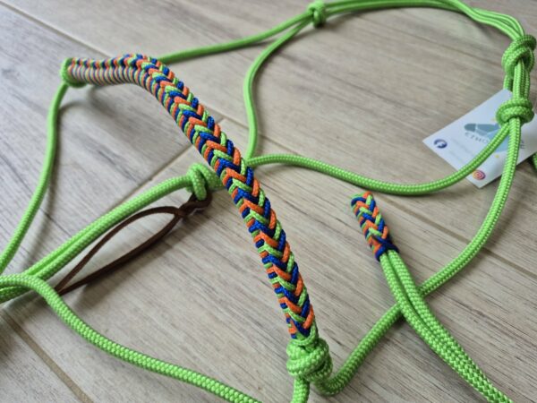 Cheval licol vert pomme tressé saezh vert pomme orange et bleu électrique