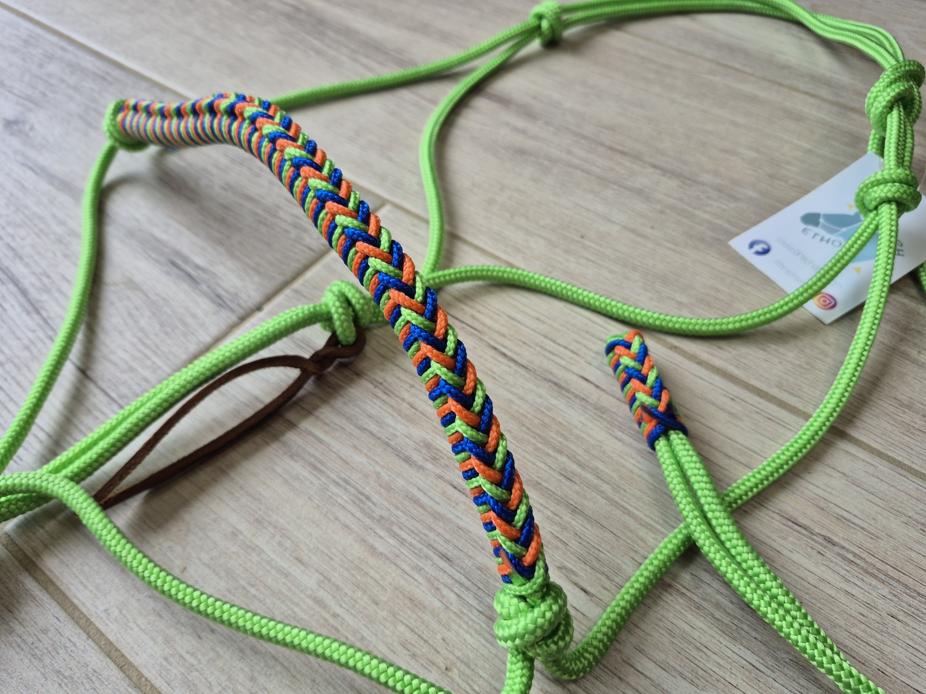Cheval licol vert pomme tressé saezh vert pomme orange et bleu électrique